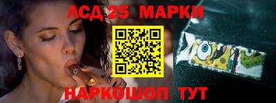 индика Ярославль