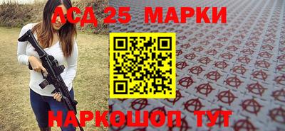 индика Ярославль