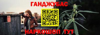 индика Ярославль