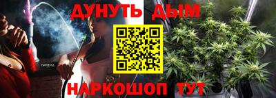 индика Ярославль