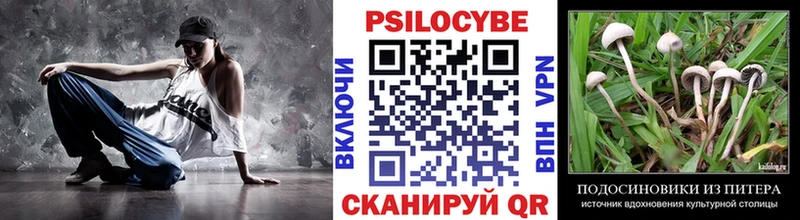 darknet Telegram  Липецк  Галлюциногенные грибы Psilocybe  купить наркотики цена 